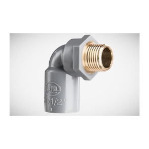 CO REN NGOÀI THAU BÌNH MINH