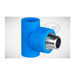 CO REN NGOÀI THAU BÌNH MINH