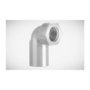 CO REN TRONG NHỰA BÌNH MINH