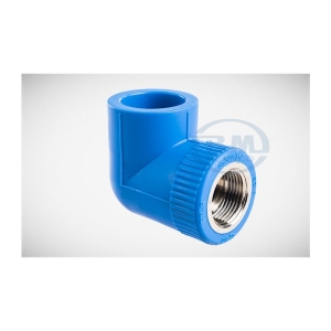 CO REN TRONG THAU BÌNH MINH