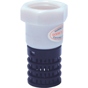 LUPPE RĂNG TRONG NHỎ LD