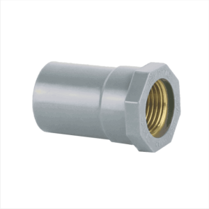 NỐI THẲNG REN TRONG ĐỒNG TIỀN PHONG