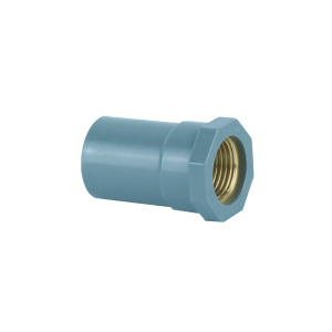 NỐI THẲNG REN TRONG ĐỒNG TIỀN PHONG