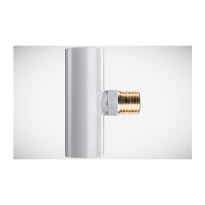 T REN NGOÀI THAU BÌNH MINH