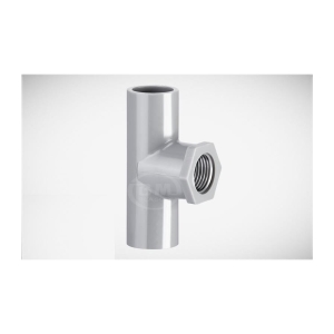 T RÚT REN TRONG NHỰA BÌNH MINH