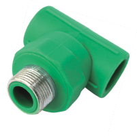 TÊ REN NGOÀI PPR ĐỆ NHẤT