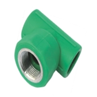 TÊ REN TRONG PPR ĐỆ NHẤT